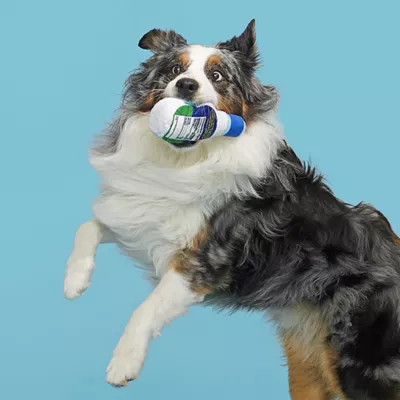 BARK Ranch Plush Dog Toy - Image 2