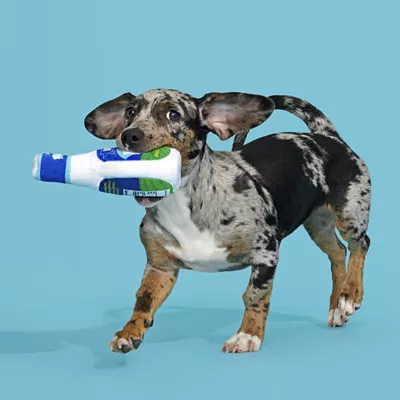 BARK Ranch Plush Dog Toy - Image 3