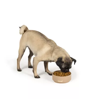 Top Paw® Tan Woof Ceramic Dog Bowl 12oz, 27oz, 64oz - Image 6