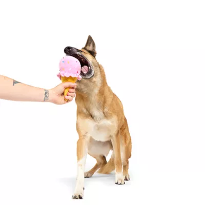 BARK Ice Cream Cone Plush Dog Toy - Image 2