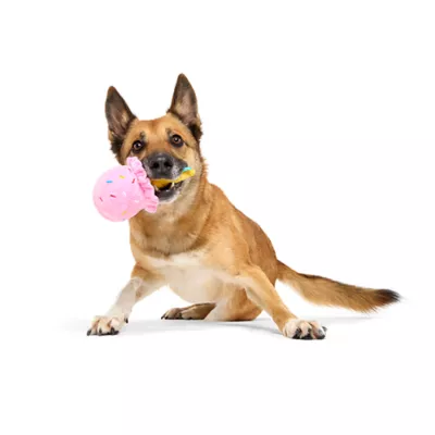 BARK Ice Cream Cone Plush Dog Toy - Image 3
