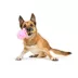 BARK Ice Cream Cone Plush Dog Toy image thumbnail 3