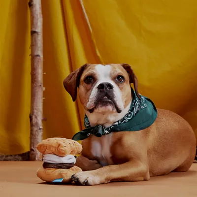 BARK Smores Plush Dog Toy - Image 3