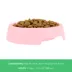 Top Paw® Basic Plastic Dog Bowl 27oz , Pink/Green/Blue image thumbnail 4