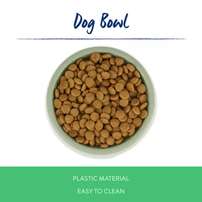 Top Paw® Basic Plastic Dog Bowl 27oz , Pink/Green/Blue - Image 2