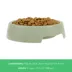 Top Paw® Basic Plastic Dog Bowl 27oz , Pink/Green/Blue image thumbnail 4