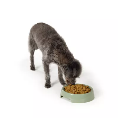 Top Paw® Basic Plastic Dog Bowl 27oz , Pink/Green/Blue - Image 6