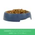 Top Paw® Basic Plastic Dog Bowl 27oz , Pink/Green/Blue image thumbnail 4