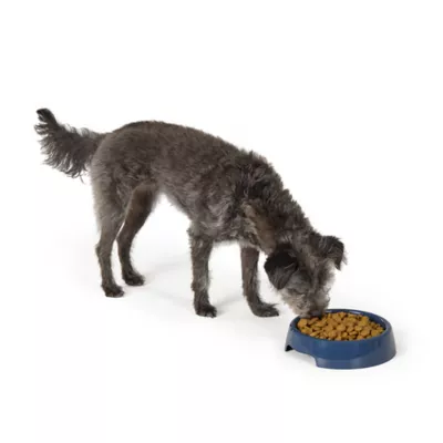 Top Paw® Basic Plastic Dog Bowl 27oz , Pink/Green/Blue - Image 6
