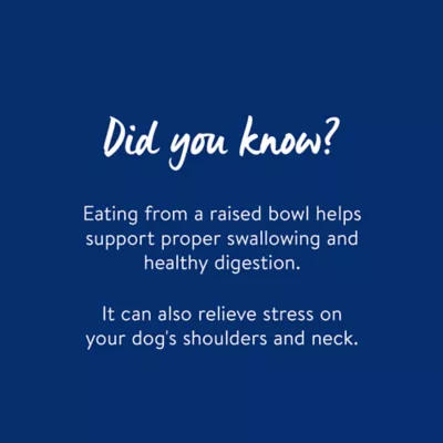 Top Paw® Plastic Double Diner Dog Bowl, 12OZ & 27OZ, Blue/Pink/Green - Image 5