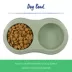 Top Paw® Plastic Double Diner Dog Bowl, 12OZ & 27OZ, Blue/Pink/Green image thumbnail 2