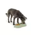 Top Paw® Plastic Double Diner Dog Bowl, 12OZ & 27OZ, Blue/Pink/Green image thumbnail 6