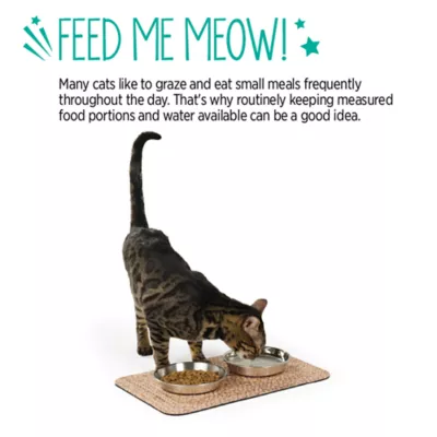 Whisker City® Wicker Printed Cat Placemat 17.5 IN L X 11 IN W - Image 5