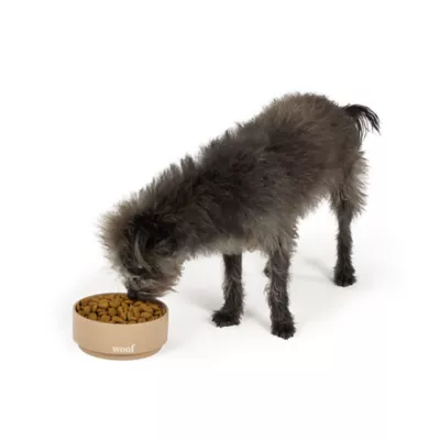 Top Paw® Tan Woof Ceramic Dog Bowl 12oz, 27oz, 64oz - Image 6