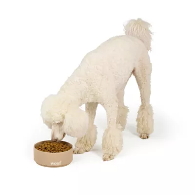 Top Paw® Tan Woof Ceramic Dog Bowl 12oz, 27oz, 64oz - Image 6