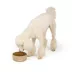 Top Paw® Tan Woof Ceramic Dog Bowl 12oz, 27oz, 64oz image thumbnail 6
