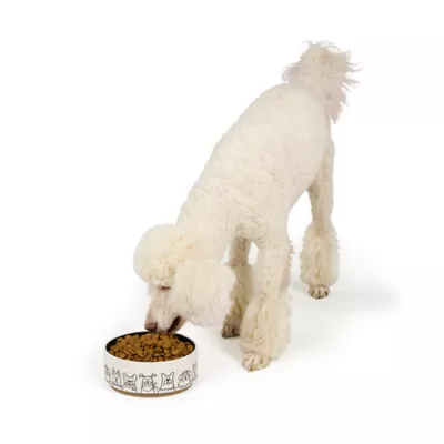 Top Paw® Black & White Ceramic Dog Bowl 64 FL OZ - Image 6