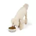 Top Paw® Black & White Ceramic Dog Bowl 64 FL OZ image thumbnail 6