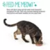 Whisker City® Fish Printed Stainless Steel Cat Bowl 6 FL OZ image thumbnail 5