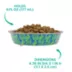 Whisker City® Leaf Printed Stainless Steel Cat Bowl 6 FL OZ image thumbnail 4