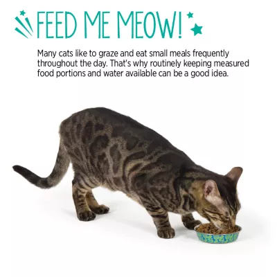 Whisker City® Leaf Printed Stainless Steel Cat Bowl 6 FL OZ - Image 5