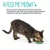 Whisker City® Leaf Printed Stainless Steel Cat Bowl 6 FL OZ image thumbnail 5