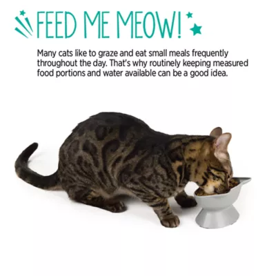 Whisker City® Grey Elevated Cat Ear Melamine Cat Bowl 6 FL OZ - Image 5