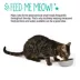 Whisker City® Grey Slanted Melamine Cat Bowl 6 FL OZ image thumbnail 5