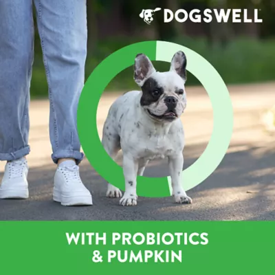 DOGSWELL® Gut Health All Life Stages Jerky Dog Treat - Lamb 10 oz - Image 4