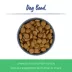 Top Paw® Dog & Bone Novelty Stainless Steel Dog Bowl 12oz, 27oz image thumbnail 2