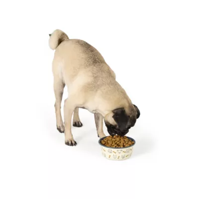Top Paw® Dog & Bone Novelty Stainless Steel Dog Bowl 12oz, 27oz - Image 6