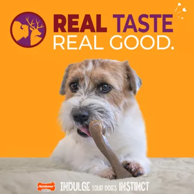 Nylabone® Meat Stick Dog Toy, Bison & Venison - Image 2