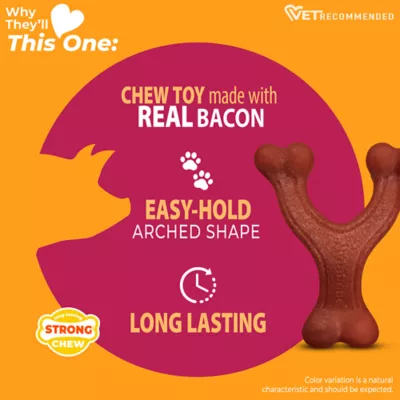 Nylabone® Meat Wishbone Dog Toy, Bacon - Image 4