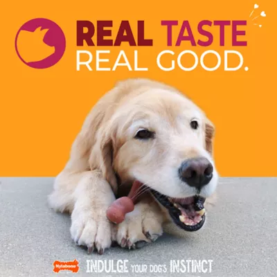 Nylabone® Meat Wishbone Dog Toy, Bacon - Image 2