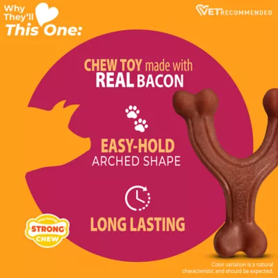 Nylabone® Meat Wishbone Dog Toy, Bacon - Image 4