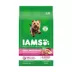 IAMS Proactive Health Small/Toy Adult Dog Food - Chicken image thumbnail 1
