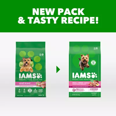 IAMS Proactive Health Small/Toy Adult Dog Food - Chicken - Image 2