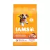 IAMS Proactive Healthy Puppy Dog Food - Chicken image thumbnail 1
