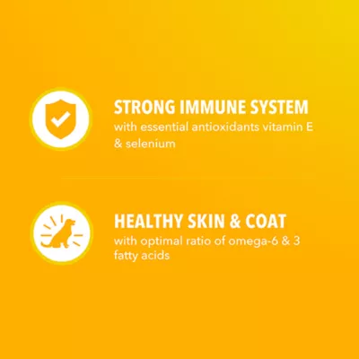 IAMS Proactive Healthy Puppy Dog Food - Chicken - Image 5