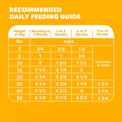 IAMS Proactive Healthy Puppy Dog Food - Chicken - Image 6