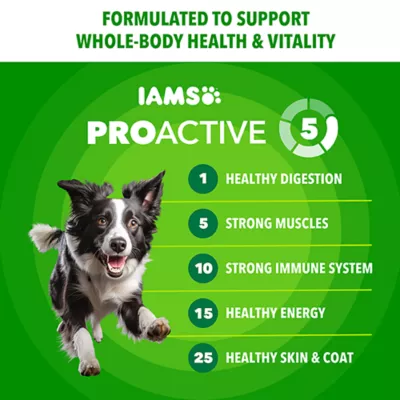  IAMS Proactive Health Minichunks Adult Dog Food - Chicken - Image 3