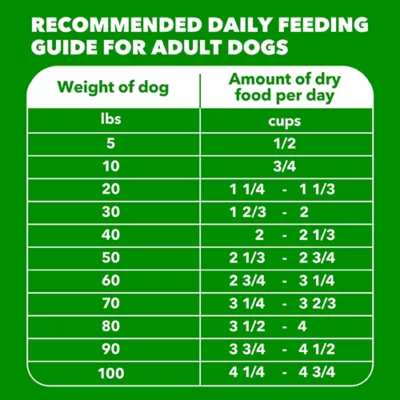  IAMS Proactive Health Minichunks Adult Dog Food - Chicken - Image 6