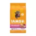  IAMS Proactive Health Small Breed Puppy Dry Dog Food - Chicken image thumbnail 1