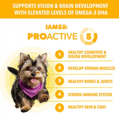  IAMS Proactive Health Small Breed Puppy Dry Dog Food - Chicken - Image 3