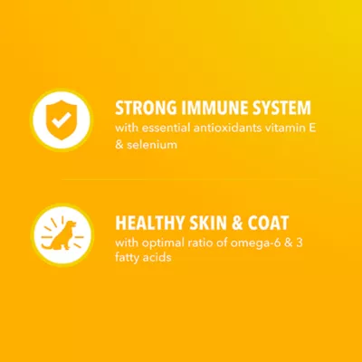  IAMS Proactive Health Small Breed Puppy Dry Dog Food - Chicken - Image 5