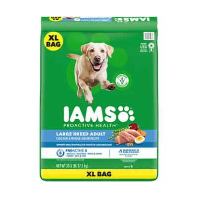 IAMS Proactive Health Adult Large Breed Dry Dog Food Chicken & Whole Grain - Image 1