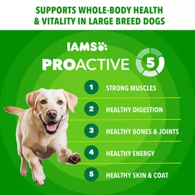 IAMS Proactive Health Adult Large Breed Dry Dog Food Chicken & Whole Grain - Image 3