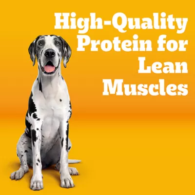  Pedigree Adult Large Breed Dry Dog Food - Roasted Chicken, Rice & Vegetable Flavor - Image 2