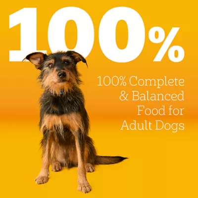 Pedigree Complete Nutrition Adult Dry Dog Food - Steak & Vegetables Flavor recipe - Image 3