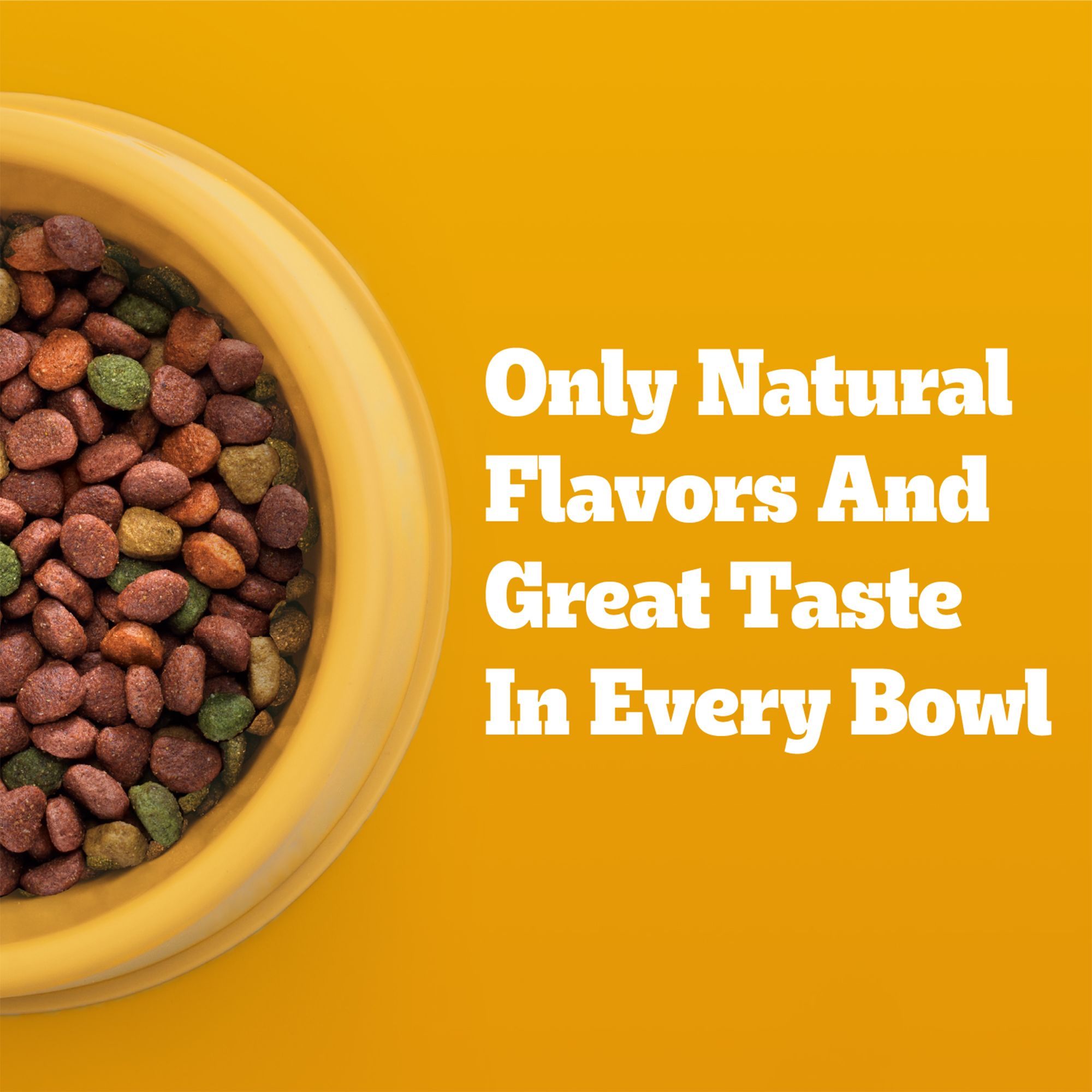 Pedigree Complete Nutrition Adult Dry Dog Food - Steak & Vegetables